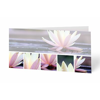 Glckwunschkarte Seerose