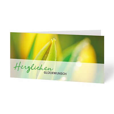 Glckwunschkarte Tulpe